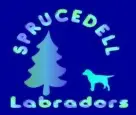 Sprucedell Labradors