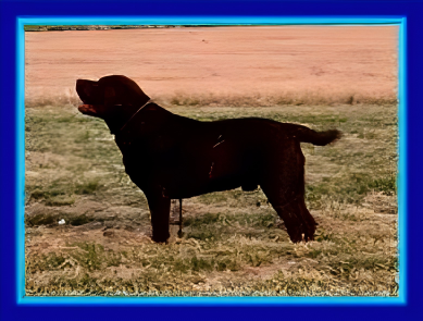 Humphrey Aus Lühlsbusch