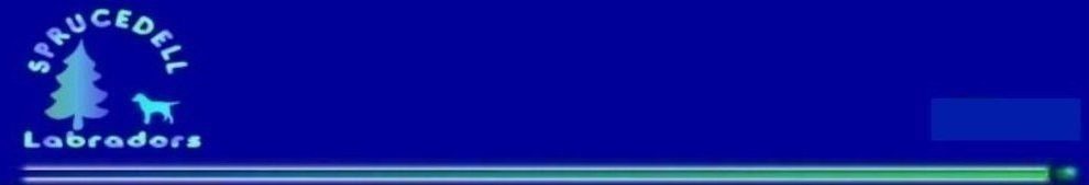 Sprucedell Labradors